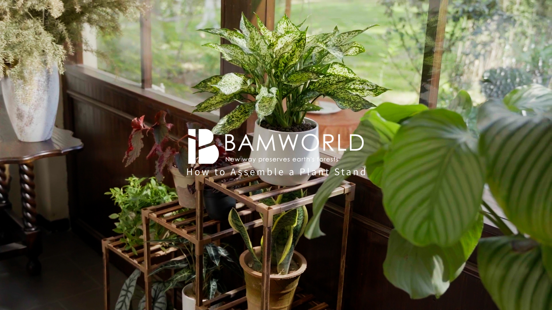 Amazon.com : Bamworld Plant Stand Indoor Plant Shelf Outdoor Wood